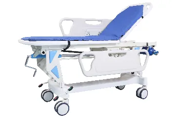 A Comprehensive Guide to Medical Transport Solutions