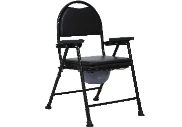 Innovative Toilets for Comfort and Mobility