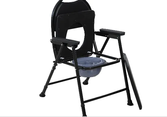 Innovative Toilets for Comfort and Mobility