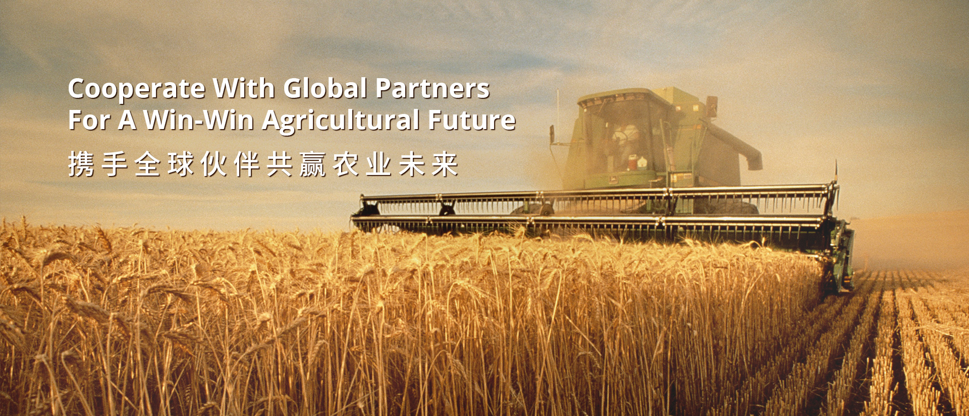 flat bottom iron wok product