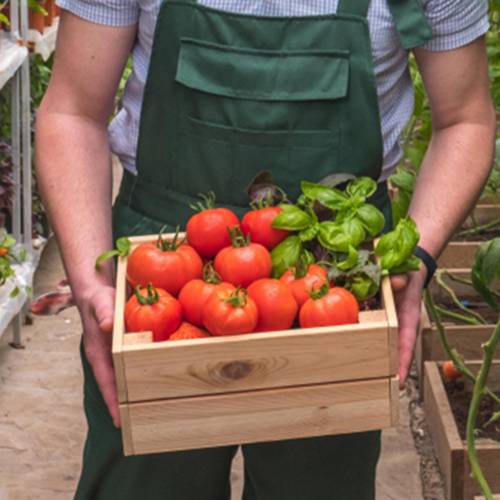 China emaillierte Gusseisen bedeckt Sauce Pfanne
