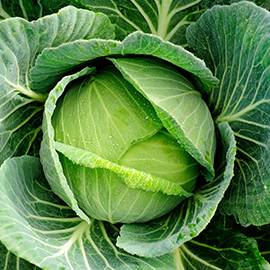 High-quality large cast iron griddle designed for optimal use on gas stoves and grilling surfaces