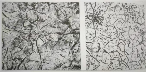 Top Vintage Wagner Cast Iron Skillets for Your Kitchen Collection Today