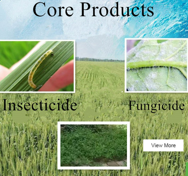 Insecticide Factory and Herbicide Suppliers for Global Crop Protection