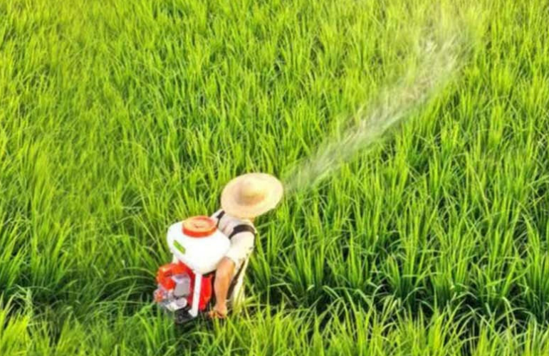 Insecticide Factory and Herbicide Suppliers for Global Crop Protection