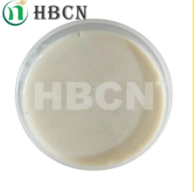 Agrochemicals for Enhancing Vegetable Yields