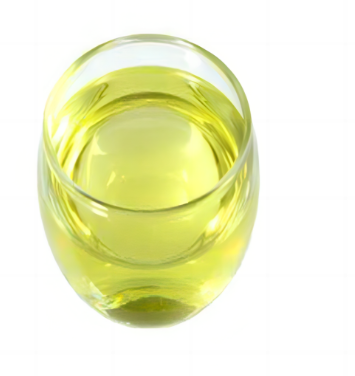 Mechanisms of Action of Topramezone