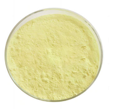 Mechanisms of Action of Topramezone