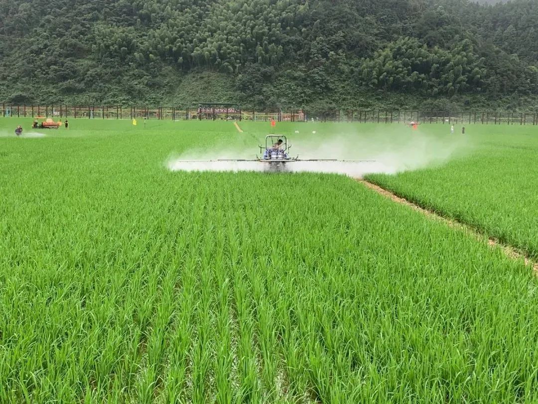 discount chlorpyrifos