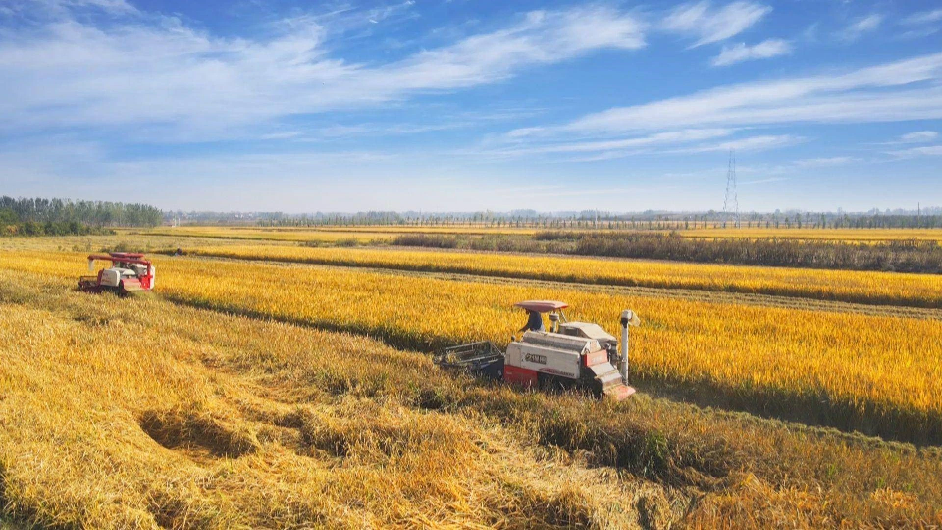 The Role of Herbicides in Modern Agriculture: Balancing Efficiency and Environmental Impact