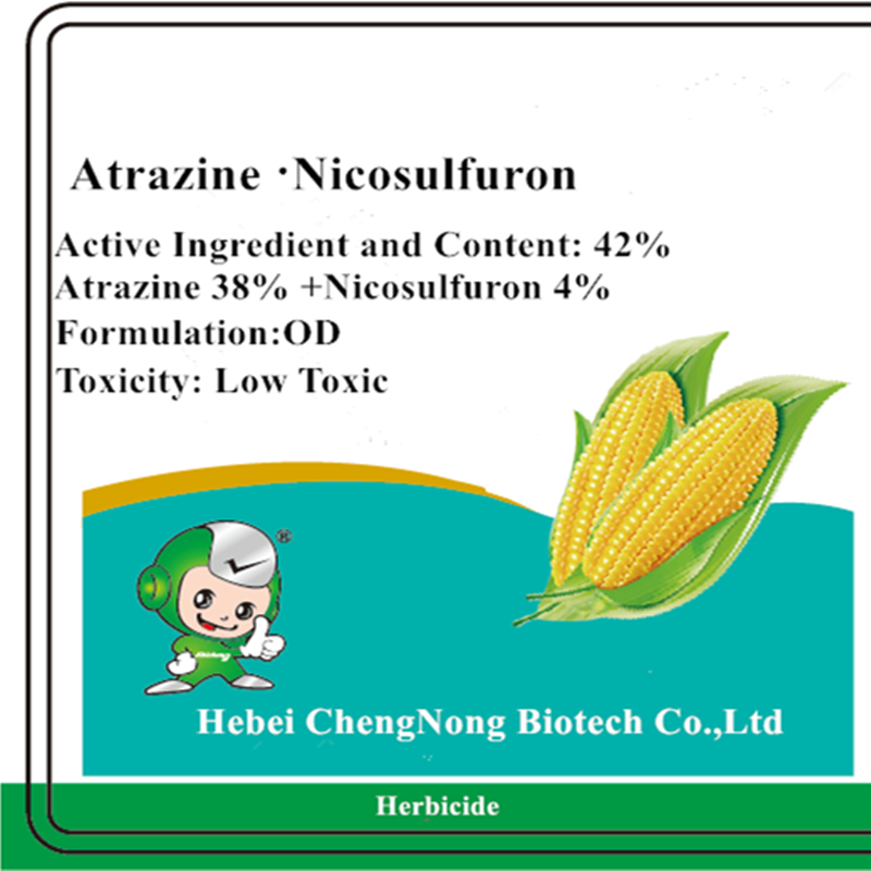 Generic Chlorothalonil - Effective Fungicide for Crop Protection