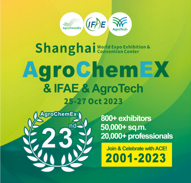 china atrazine 80 wp
