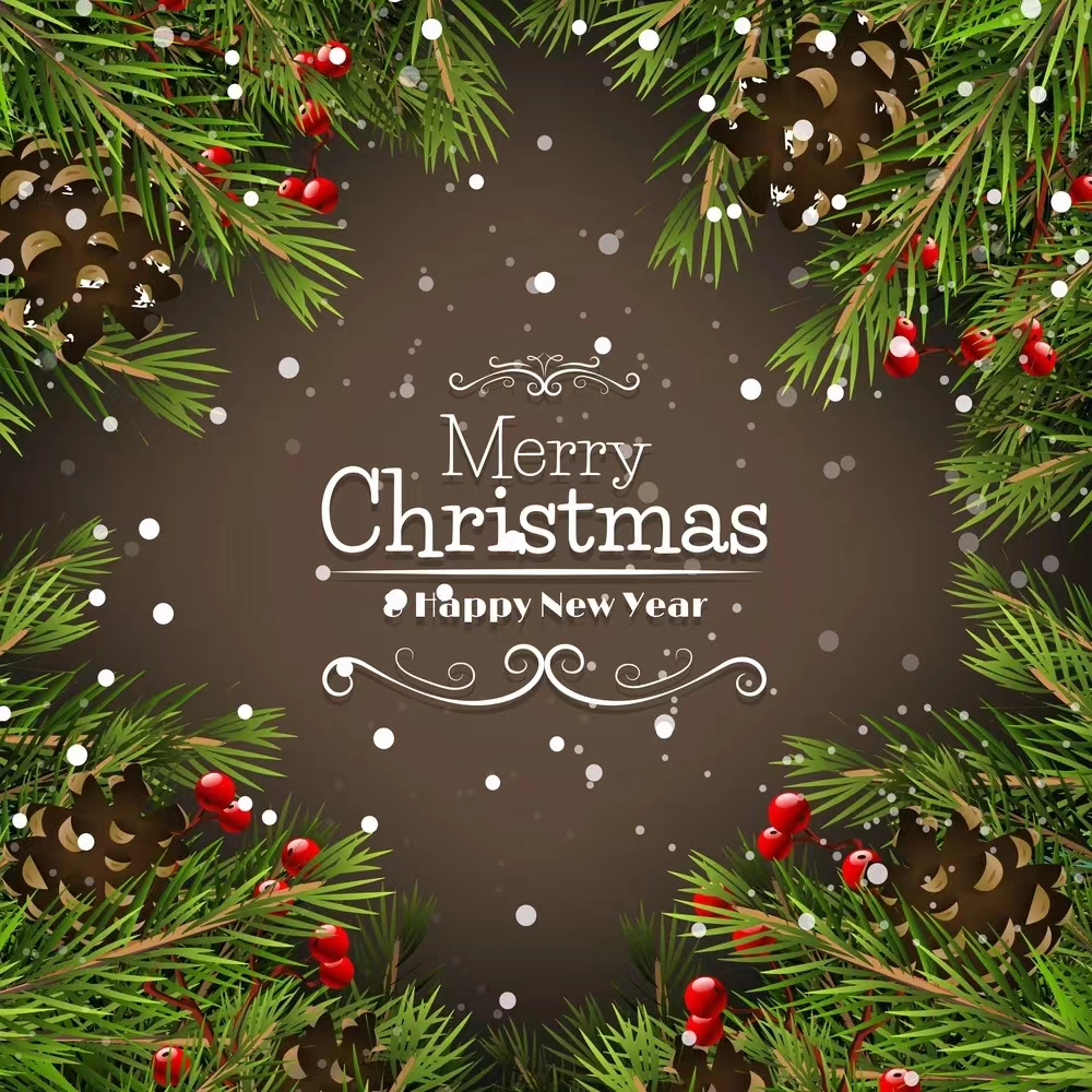 Merry Christmas and happy New Year!