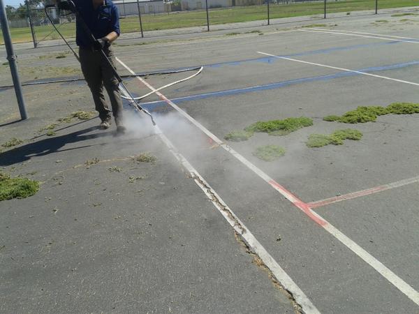 custom imidacloprid 10