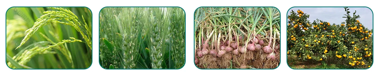 Safety Data Sheet for Abamectin B in China