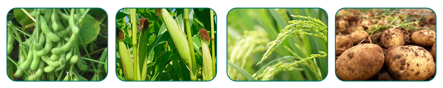 cheap flonicamid 97%tc