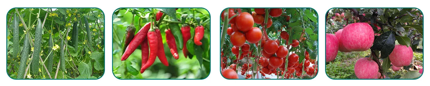 Formulation and Application of Beta-Cypermethrin 2.5% EC for Pest Control