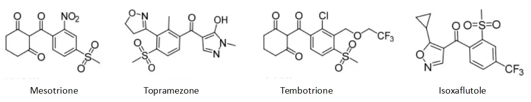 Among the HPPD inhibitor herbicides, which products have stronger market power?  - Part 1