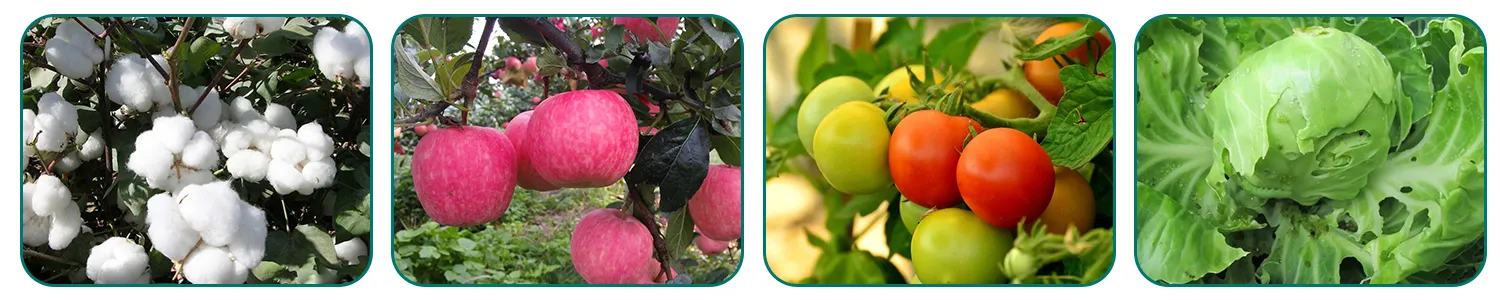 Read More About emamectin benzoate