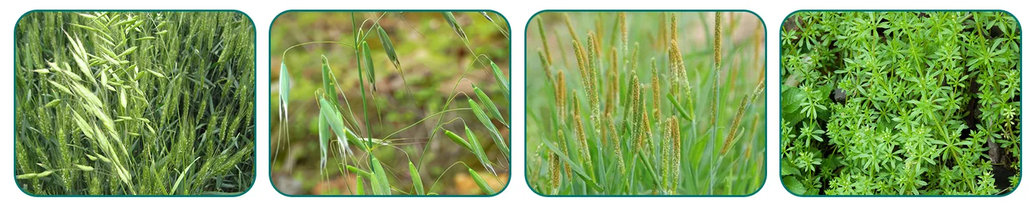 different types of agrochemicals