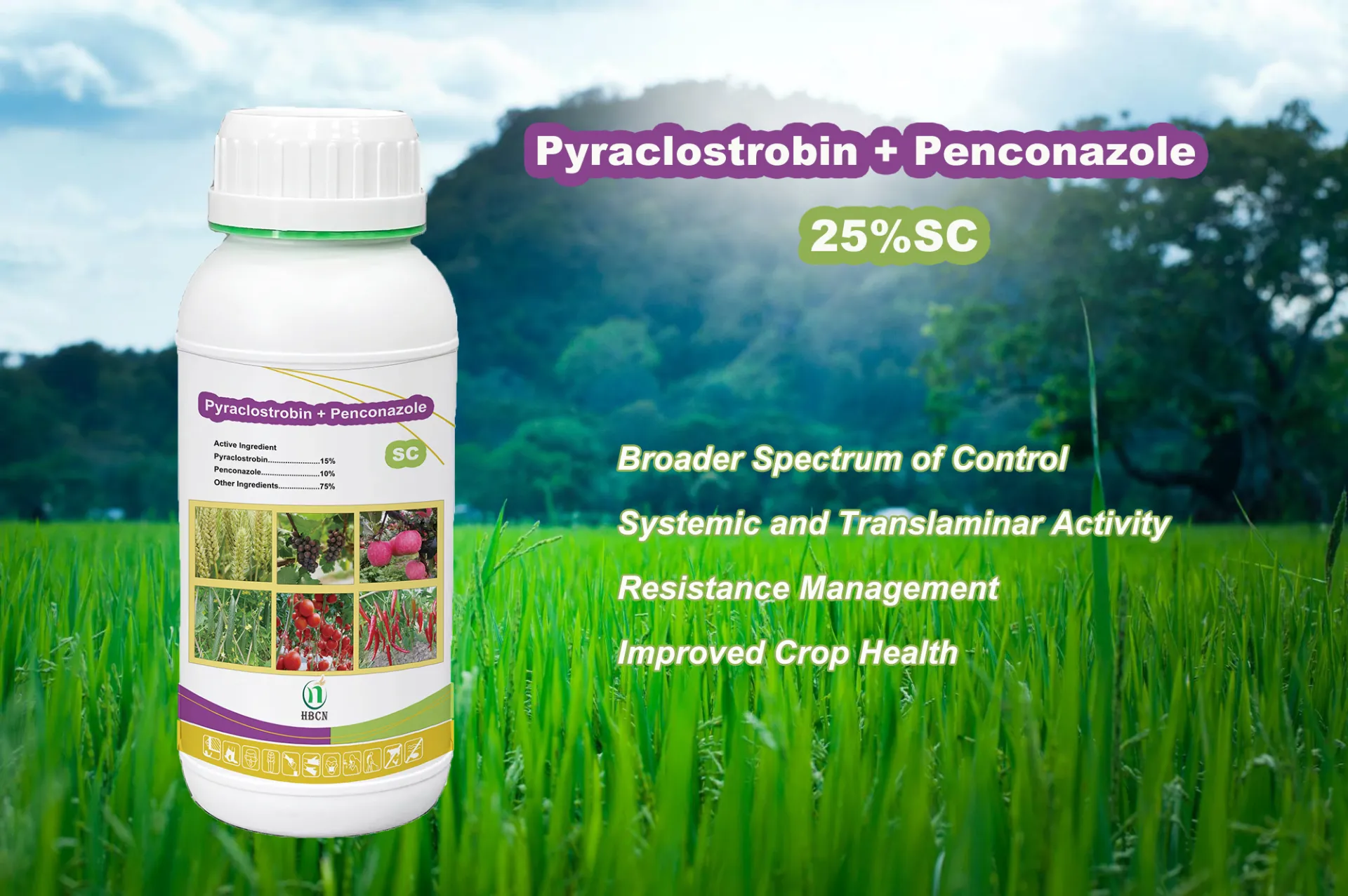 Pyraclostrobin 15% + Penconazole 10% SC, Top Quality Agrochemical