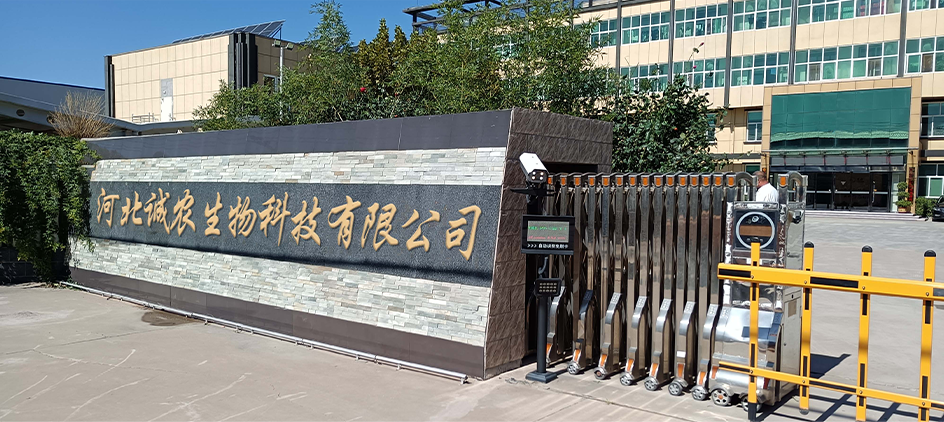 Exploring the Effects and Applications of Sunrise Herbicide in Crop Management Solutions Exploring the Effects and Applications of Sunrise Herbicide in Crop Management Solutions