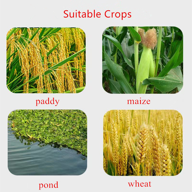 Understanding the Benefits and Applications of Pymetrozine Insecticide in Pest Control