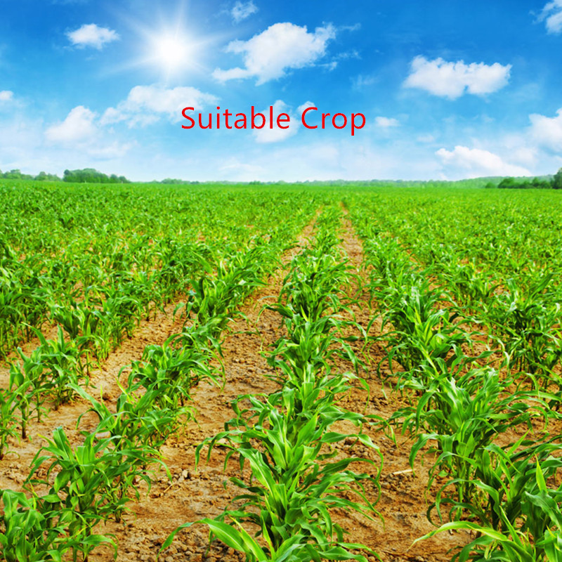 beta-cypermethrin 2.5% ec factories