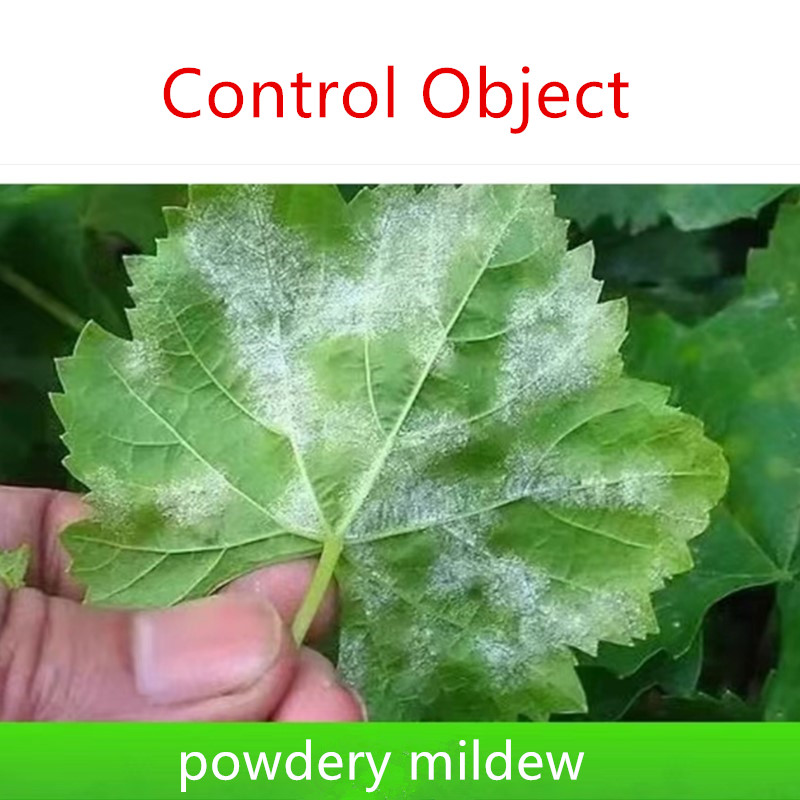 mancozeb plus carbendazim manufacturers