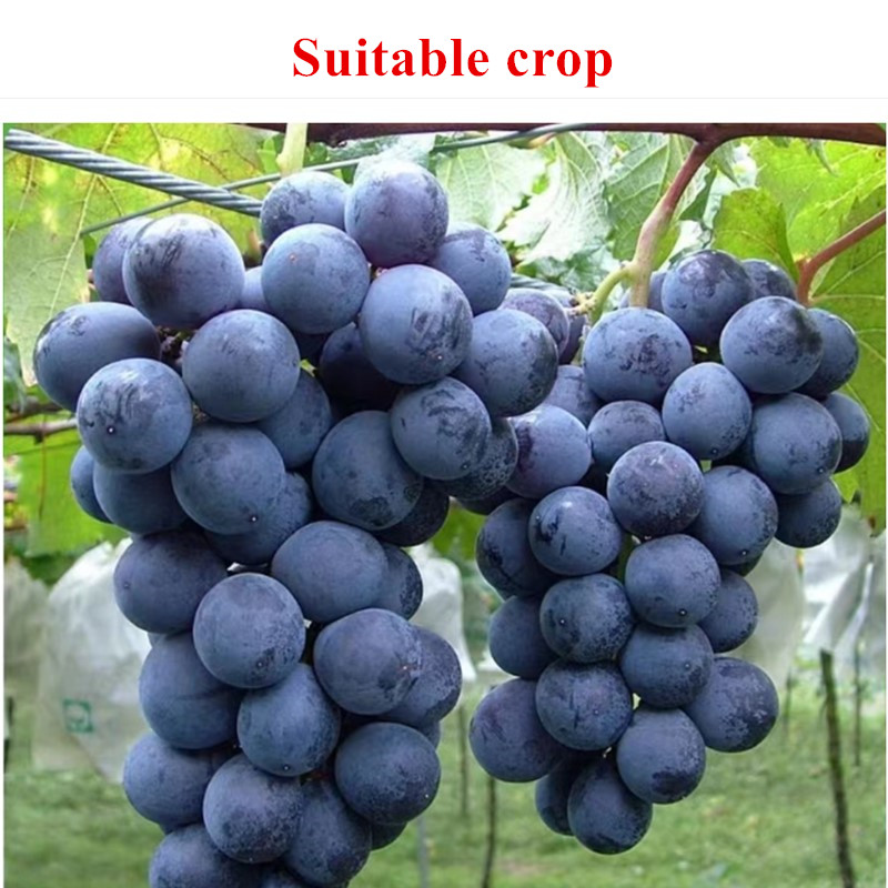 custom soil drench imidacloprid