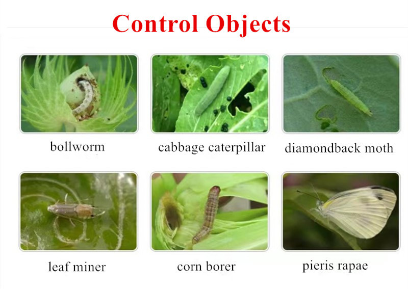 custom imidacloprid 10 moxidectin 2.5