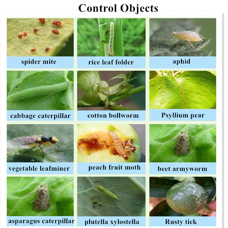 chlorpyrifos cas company