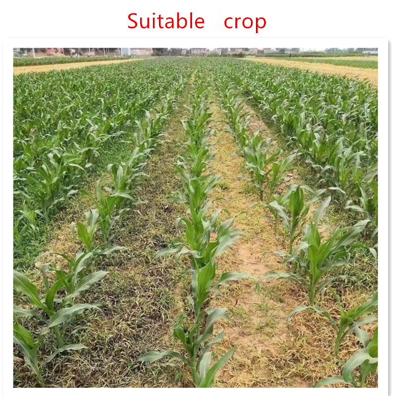 azoxystrobin with propiconazole products