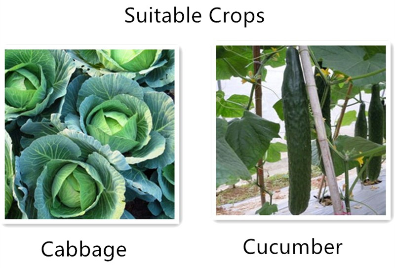 imidacloprid insecticida supplier