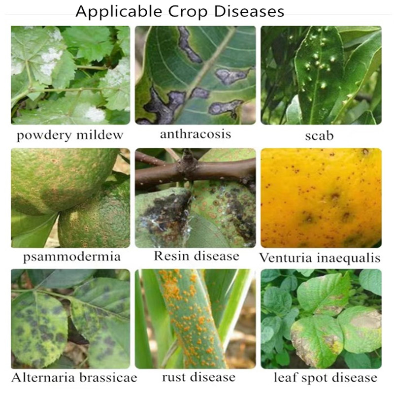chlorothalonil epa sap service