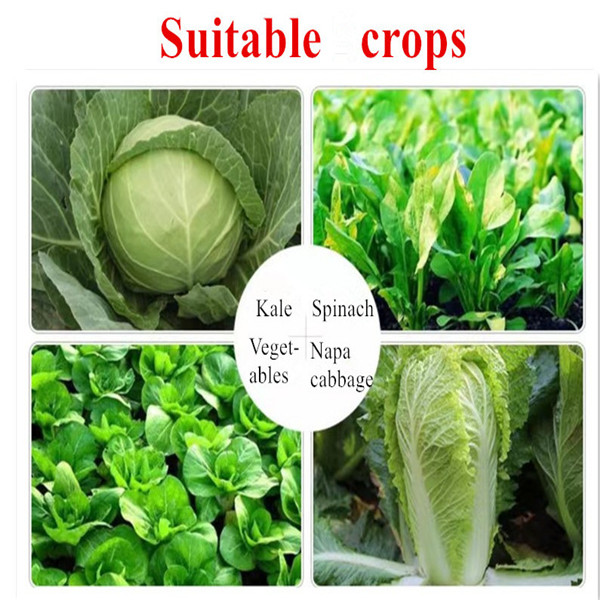 Custom Formulations of Generic Chlorothalonil for Effective Crop Protection Solutions