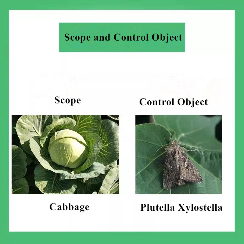 buy chlorpyrifos insecticide