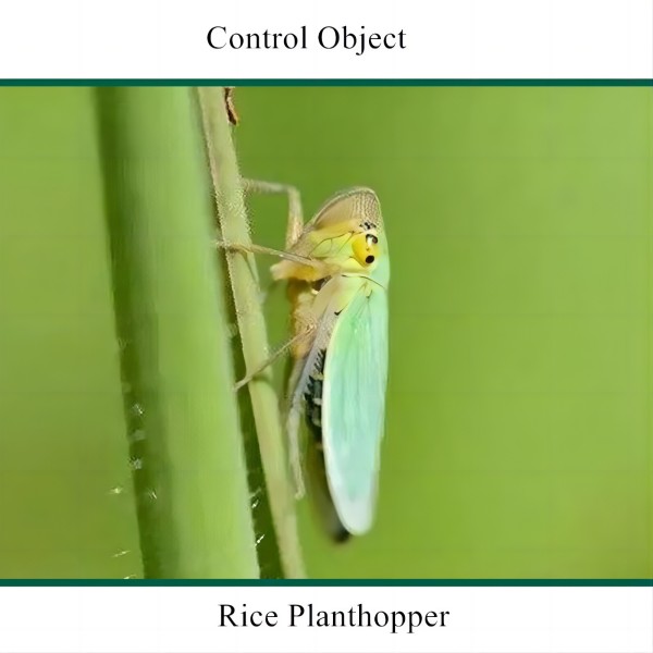 mesotrione for lawns