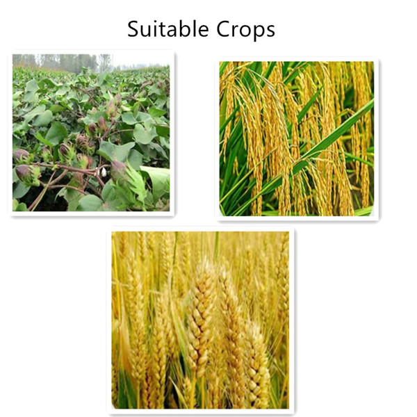 mesotrione on corn manufacturers