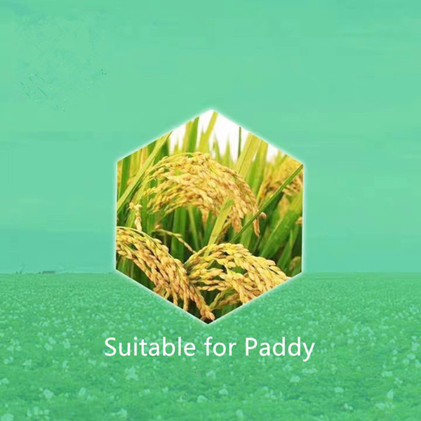 quali-pro imidacloprid 2f exporter