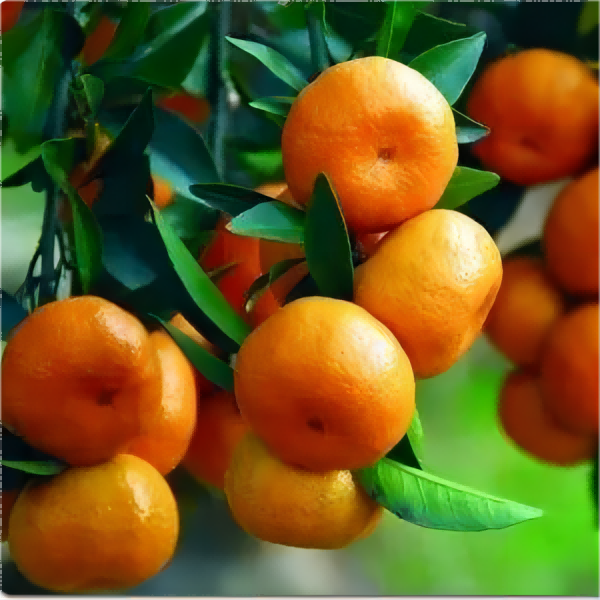 cas azoxystrobin supplier