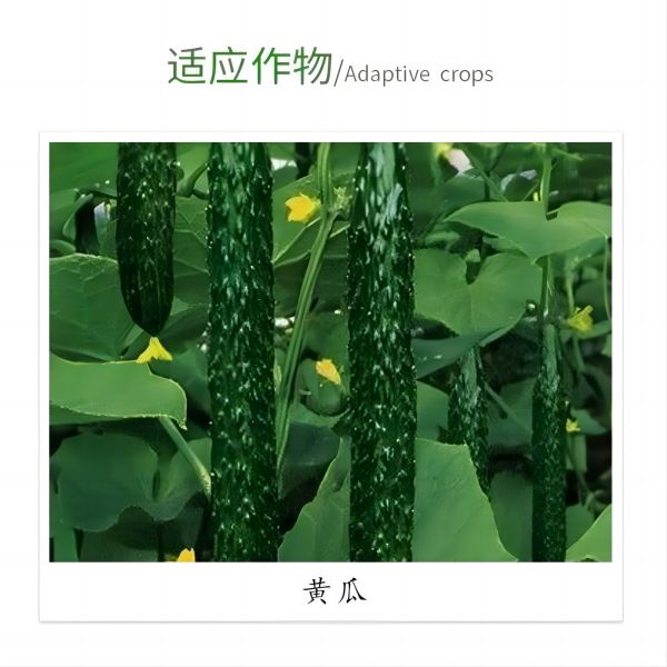 Premium Difenoconazole - Trusted Brand for Effective Crop Protection