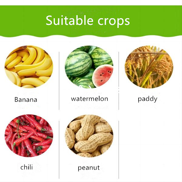 Exploring the Efficacy of Imidacloprid and Beta Cyfluthrin as Agricultural Insecticides in China