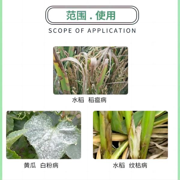 odm mancozeb and chlorothalonil