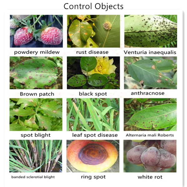 fungicide with chlorothalonil quotes