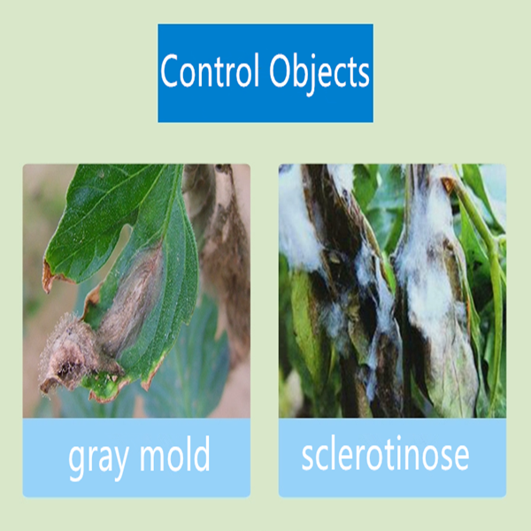 selamectin and imidacloprid moxidectin exporters