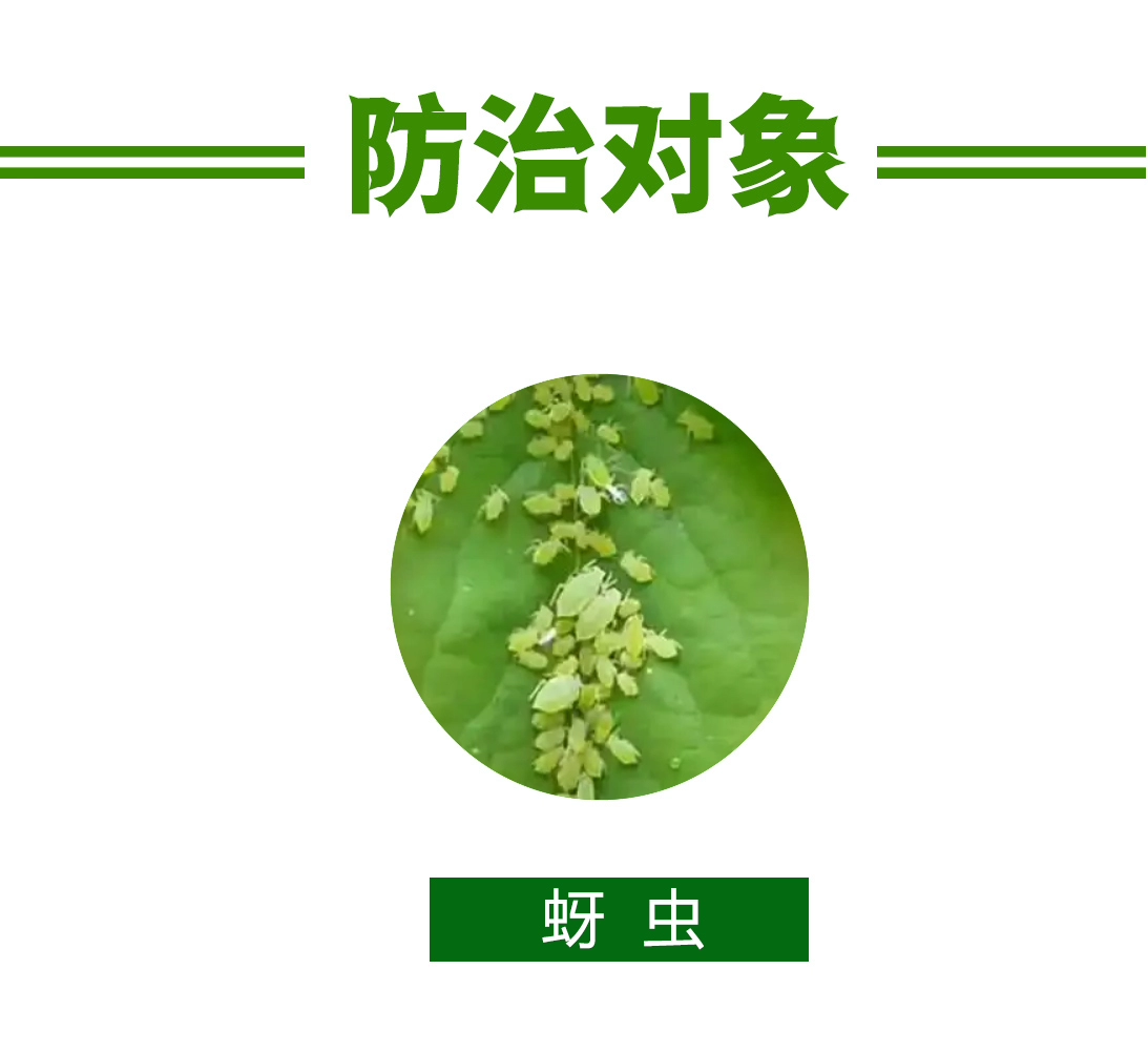 Leading Companies Utilizing Adama Azoxystrobin for Crop Protection Solutions