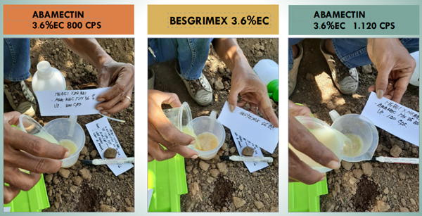 china chlorantraniliprole 95%