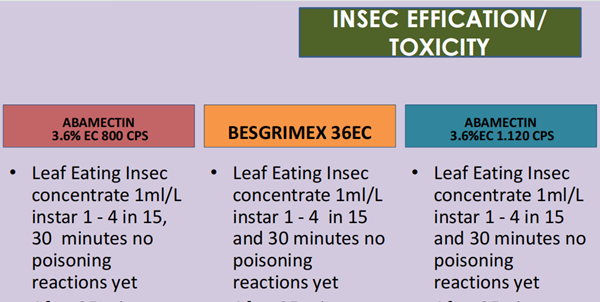 high quality msds acetamiprid technical