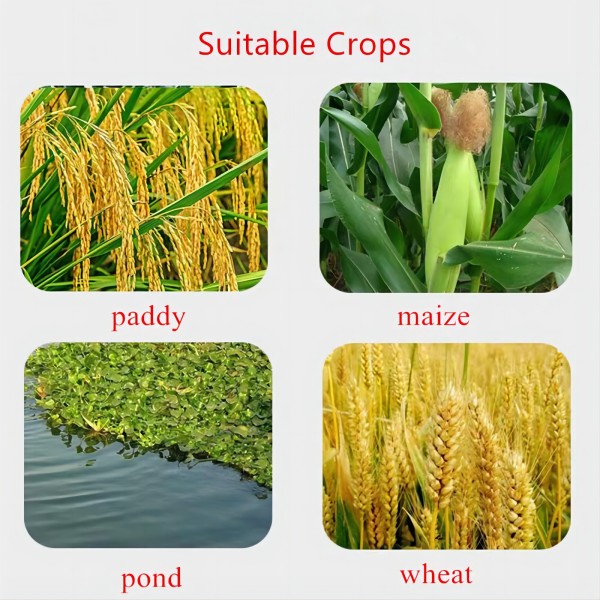 Imidacloprid 3% 5% Formulations from Leading Manufacturers for Effective Pest Control